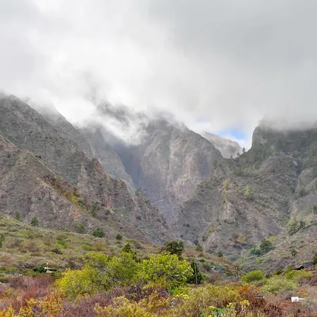 Naturaleza Viva El Socorro